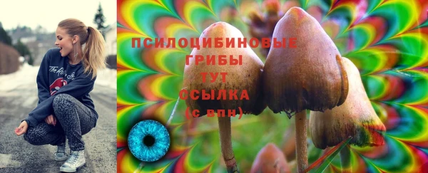соль ск Алексин