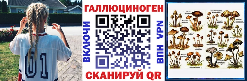 Псилоцибиновые грибы Psilocybine cubensis  Полысаево 