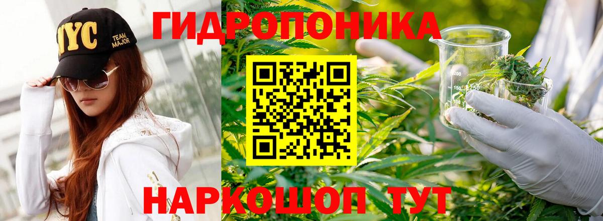 Канабис план  Шишки марихуана планчик  Конопля ГИДРОПОН  Полысаево  Вход с VPN 